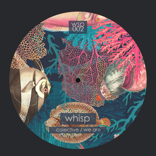 Whisp - Colective : We Are